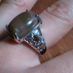 Venus Jasper and Mozambique Garnet Platinum Bond Ring (Size 9) Photo 9