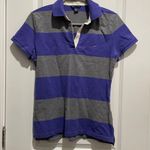 Tommy Hilfiger  purple striped polo shirt Photo 0