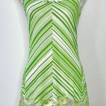 Victoria's Secret Rare Vintage 90s Victoria’s Secret Garden Fairy Mesh Slip Dress Photo 0