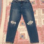 American Eagle Ripped Mom Jeans Photo 0