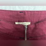 Francesca's Francesca’s Dark Red Skirt Photo 1