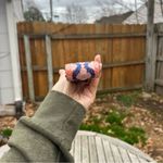 Nwt Kedzie Embroidered Interchangeable Bag Strap in the color verona Photo 6