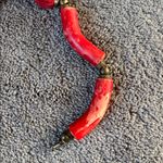 Red & Brass Beaded Necklace Photo 3