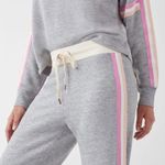 Splendid  Bayside Active Racer Stripe Jogger Small Photo 3