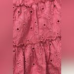 American Eagle  Outfitters Pink Smocked Skater Skirt Photo 9
