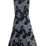 Eva Franco Fit and Flare Embroidered Mesh Overlay Dress Size 2 New Photo 0