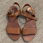 Steve Madden Brown Sandals Photo 0