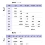 Savagexfenty NWT Savage x Fenty ‘Shining Star’ embroidered plunge bra, size 36D Photo 4