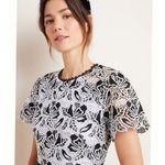 Anthropologie ×Shoshanna Embroidered Lace Mini Dre Photo 3