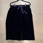 Club Monaco NWOT  Velvet Skirt- Large Photo 0