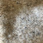 Madewell beanie Photo 2