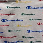 Champion BABY T-SHIRT  RAINBOW LOGO SIZE LARGE EUC #4716 Photo 3