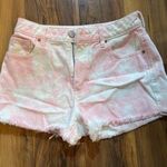 PacSun Shorts Photo 0