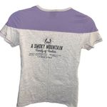 Harley Davidson  cute gray tee with purple design! Photo 4