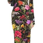 Alice + Olivia  Delora Ankle Length Dress in Secret Garden 6 New Womens Midi Photo 0