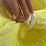 Free People Women’s  Athletic Shorts Photo 3