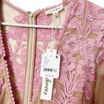 For Love & Lemons NWT Sheer Embroidered Maxi Dress Pink Nude Size Small Boho Photo 11