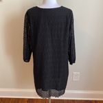 Urban Outfitters UO Little White Lies Black Lace Embroidered Cover Up Dress Photo 4