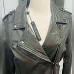 BLANK NYC Charcoal Grey Lambskin Leather Jacket Photo 4