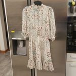 Joie 💕💕 Shima Smocked Ruffled Dress ~ Chiffon Mock Neck Floral Print Medium Photo 10