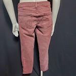 Just Black  Redish Purple Jeans (26P) Photo 3