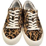 Madewell Sidewalk Cheetah Sneakers Brown Size 6.5 Low Top Lace Up Canvas Casual Photo 0