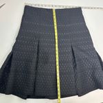 Akris Punto Jacquard Black Pleated Swiss Dot Stripe Skirt 12 Photo 6