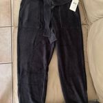 Splendid Andes Belted Corduroy Joggers Photo 5