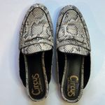 Circus by Sam Edelman  Hal Snake Print Women’s Mule Flats Size 8.5 Photo 5