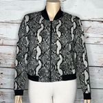 LuLaRoe Elegant NWT XL Gray & Black Snakeskin Animal Print Stevie Bomber Jacket Photo 0