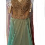 Shail K  prom light mint and nude Photo 2