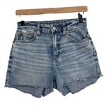 American Eagle Curvy 90s Straight Denim Cutoff Shorts - Size 0 Photo 0