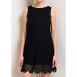 Hill House Charlie Shift Mini Dress, Black Scallop Lace, XS Photo 1