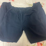 Brandy Melville  sweatpants blue Photo 0