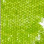 Kim Shui Revolve Green Sequin Mini Dress Photo 3