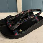 Alegria  Roz Strappy Sandal Get Away Black T Strap Womens Shoes EU 40 US 8.5 - 9 Photo 1