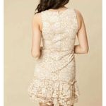 Altar'd State Womens Ivory Sleeveless Lace Overlay Frances Dress - Sz XS Photo 2