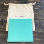Tiffany & Co. Jewel Pouch 99 Aqua Leather Case Photo 1