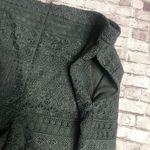 BCBGMAXAZRIA NWT Sage Green Lace Shorts Photo 5