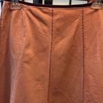 The Limited skirt size 0 Photo 4