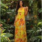 Anthropologie  and C&C California Spring Floral Dresses & Skirt Bundle Lot of 3 Photo 1