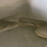 No Boundaries  Green and Cream Botanical Tote Bag Photo 5