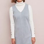 Anthropologie  Elizabeth Crosby Princeps Chic Shift VNeck Tank Top Dress Photo 1
