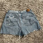 American Eagle  Outfitters Baggy mom shorts size 6 Photo 6