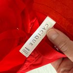 Cacique Long Line Heart Detail Red Lace Women's Corset Inspired Bra Top 44DD Photo 6