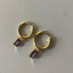 Amethyst Cute Boutique  Earrings Photo 1