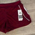 Adidas  NWT xs Women's Burgundy white striped Athletic climacool Shorts Photo 2