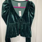 Anthropologie NWT Dark Green Maeve Velvet Babydoll top size XS Photo 3