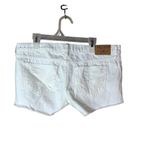 Hollister White Low Rise Short Shorts Size 5 Photo 6