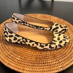 Kelly & Katie  Animal Print Flats Photo 3